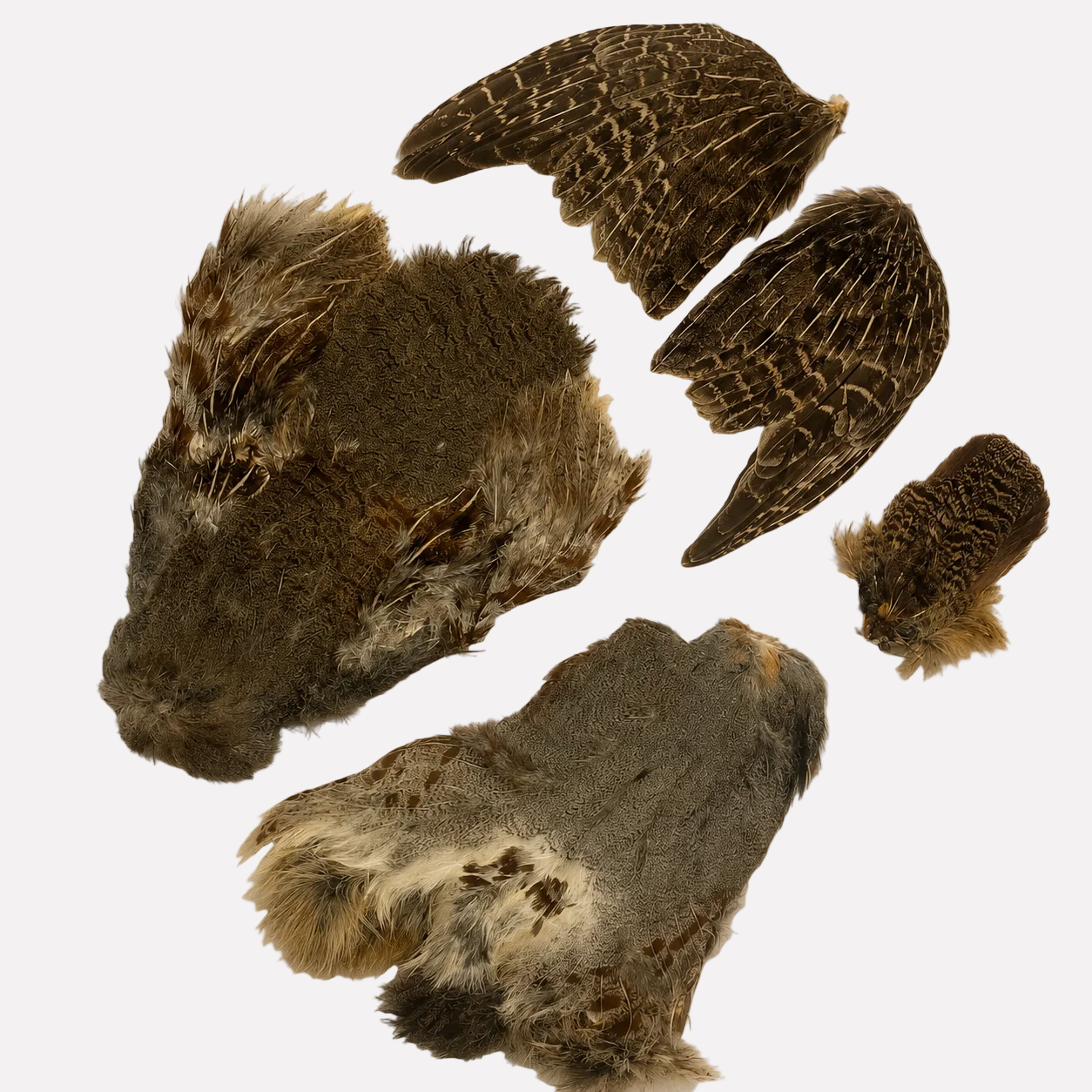 Fur