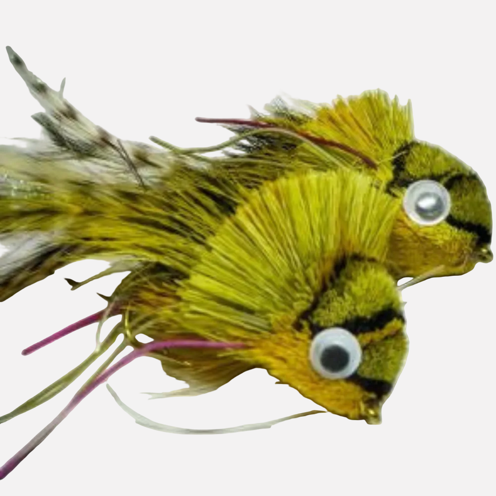 Bass Bugs