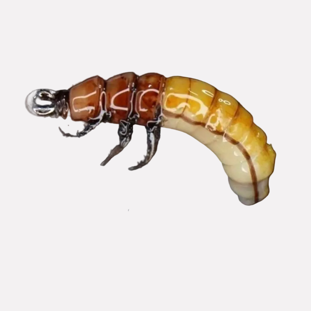 Realistic Flies