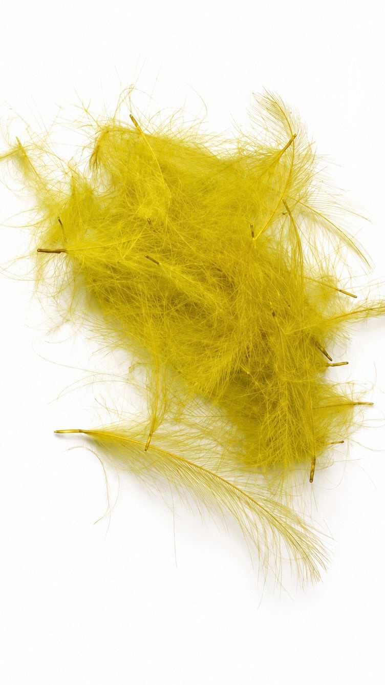 CDC Feathers