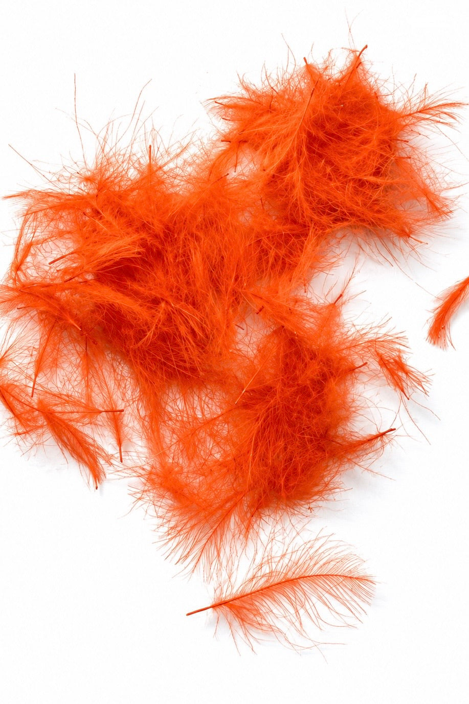 CDC Feathers