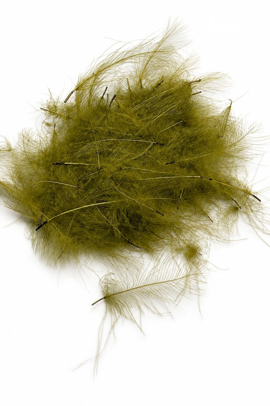 CDC Feathers