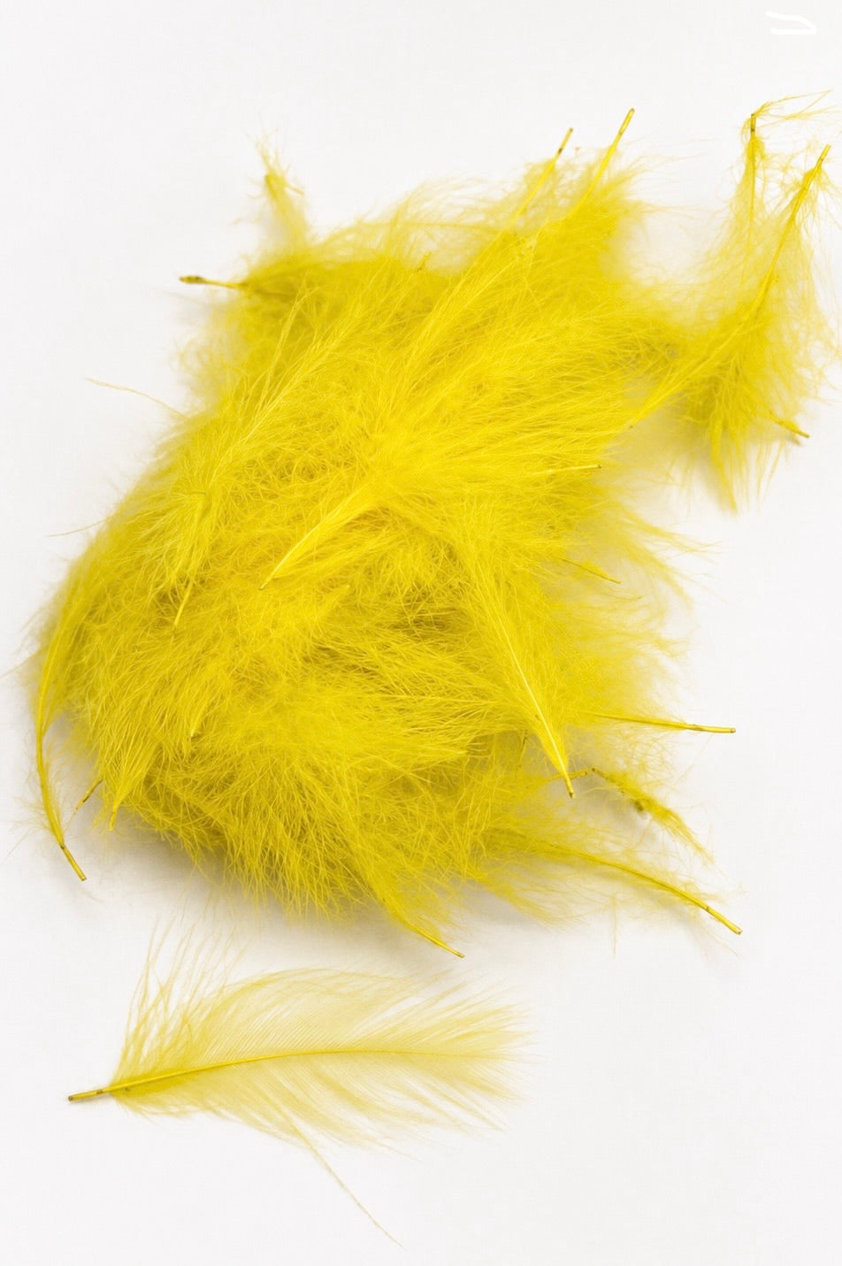 CDC Feathers