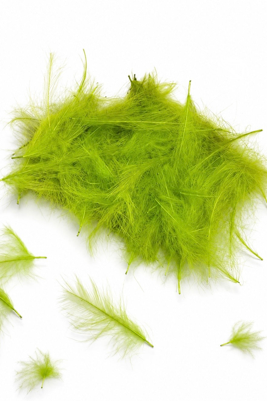 CDC Feathers