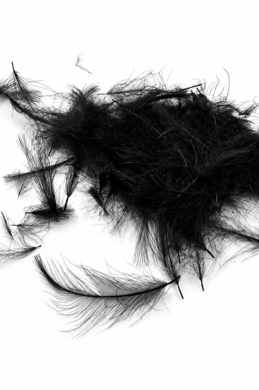 CDC Feathers
