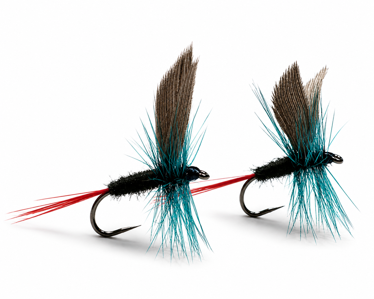 Black Gnat Red Tail Blue Hackle
