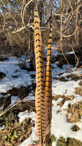 Pheasant Tail Pairs