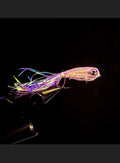 Cypert’s Minnows