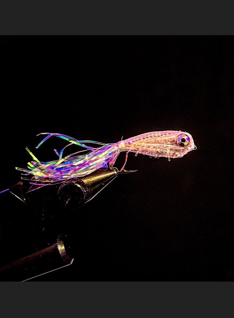 Cypert’s Minnows