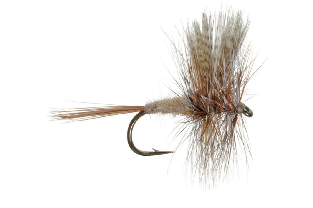 March Brown Dry