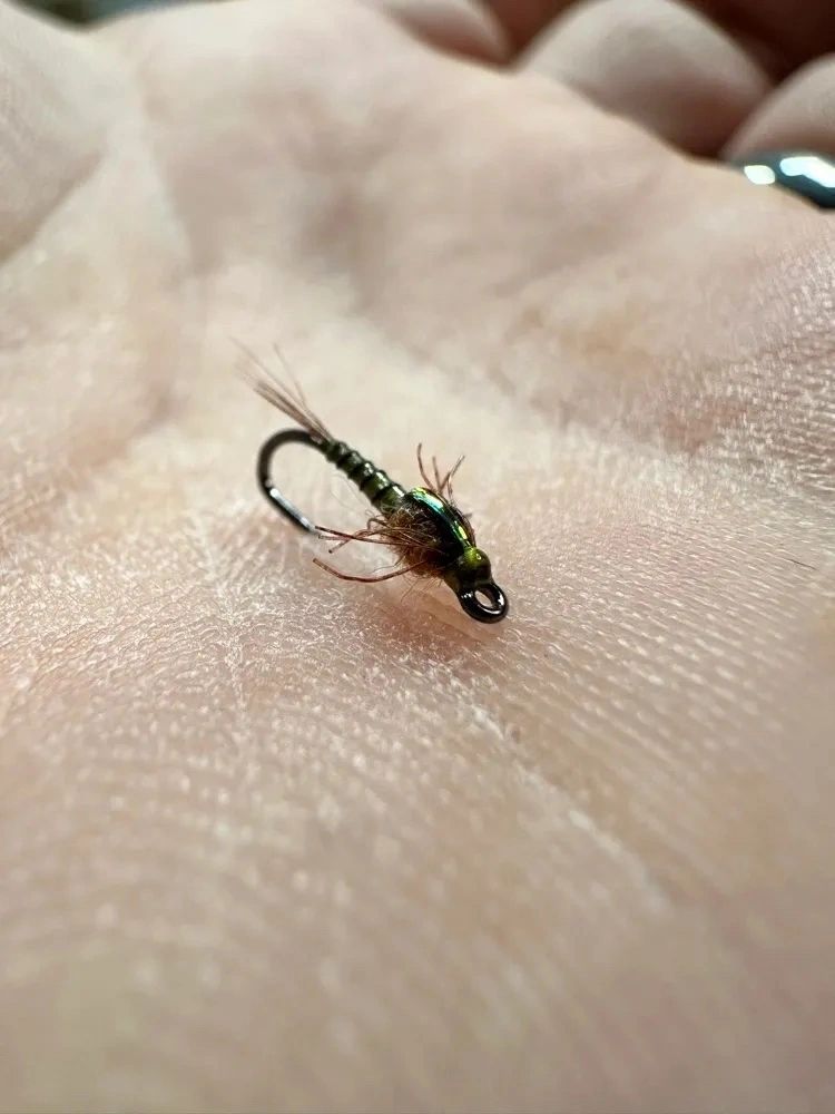Tiesflies BWO