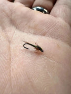 Tiesflies BWO