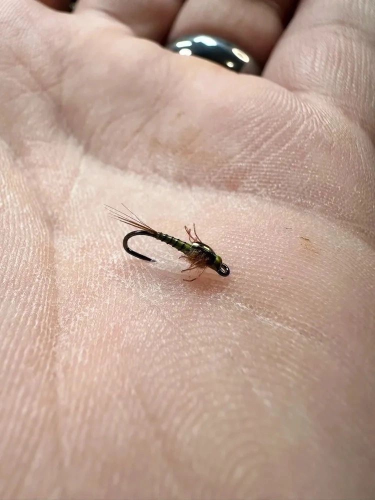 Tiesflies BWO