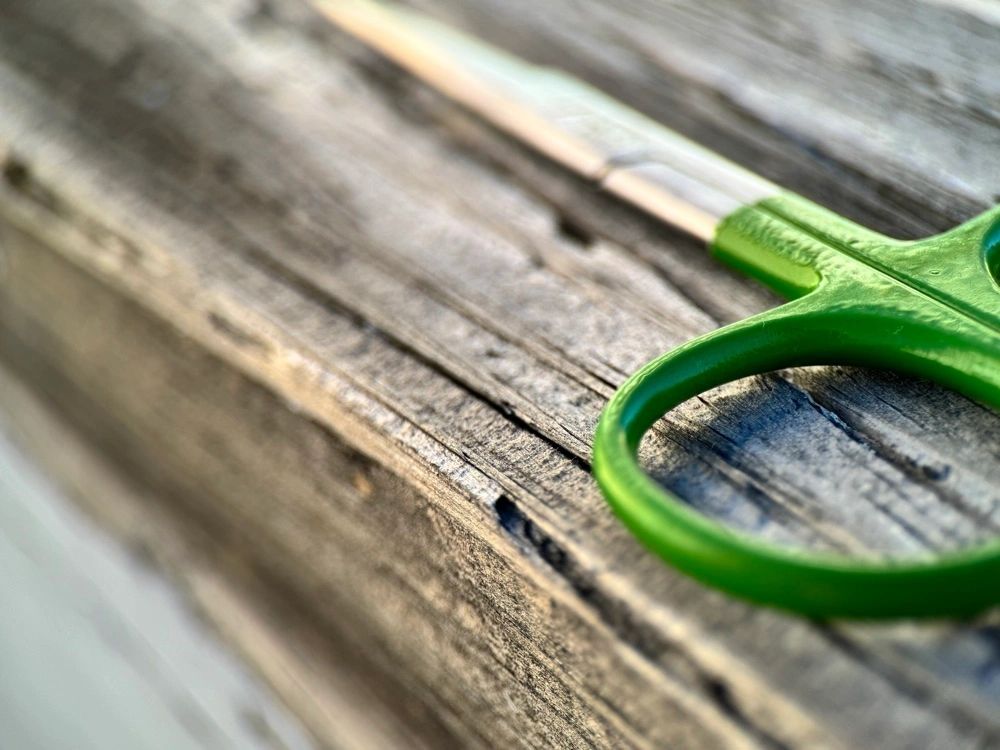 Hair Scissors