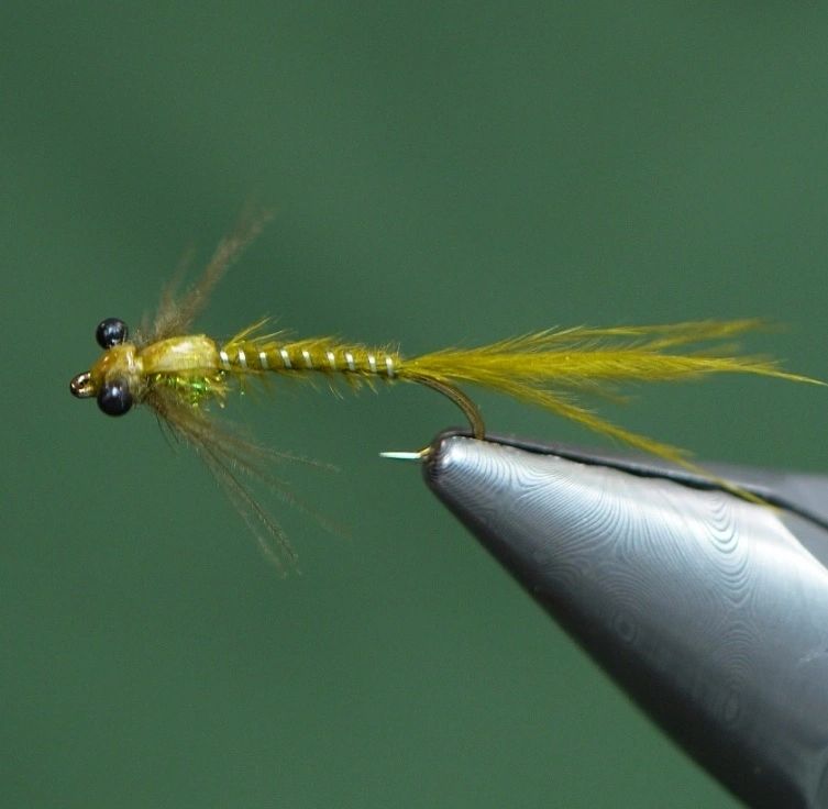 Skinny Damsel Fly