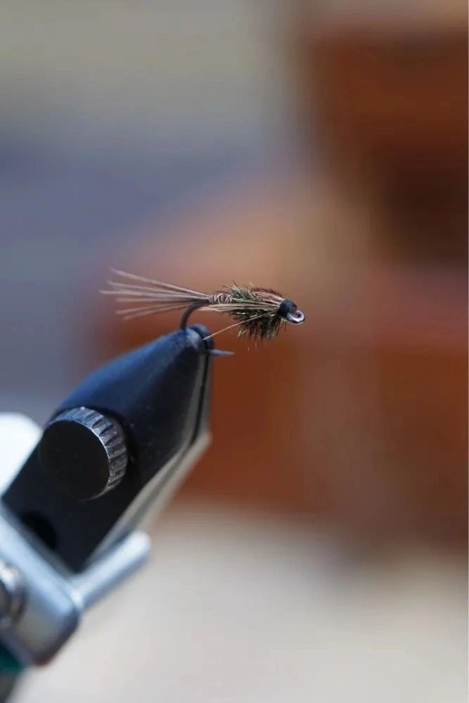 Pheasant Tail Nymph