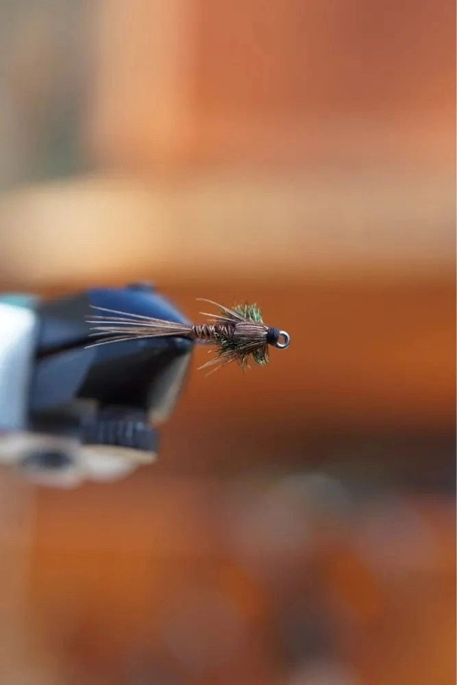 Pheasant Tail Nymph