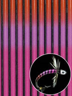 TheFlySmith 3 Color Zebra Film
