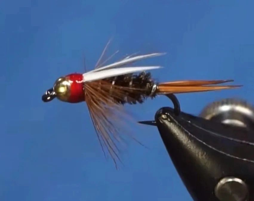 Prince Nymph