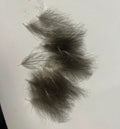 CDC Feathers