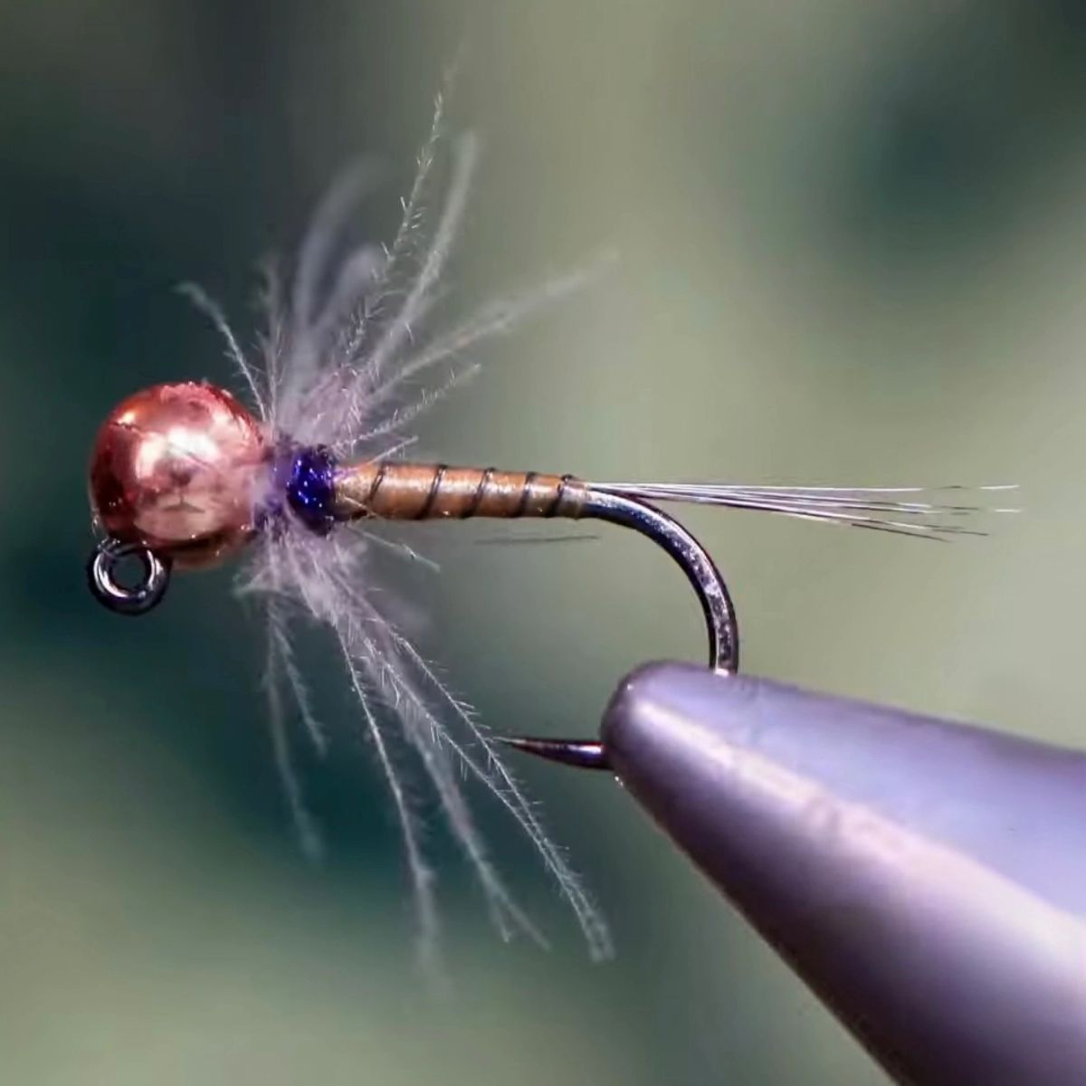 Jack Daniels Fly