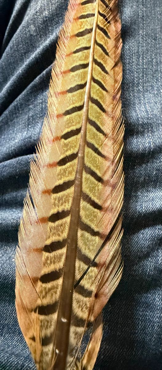 Pheasant Tail Pairs