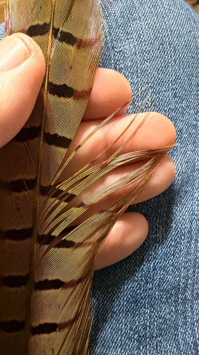 Pheasant Tail Pairs