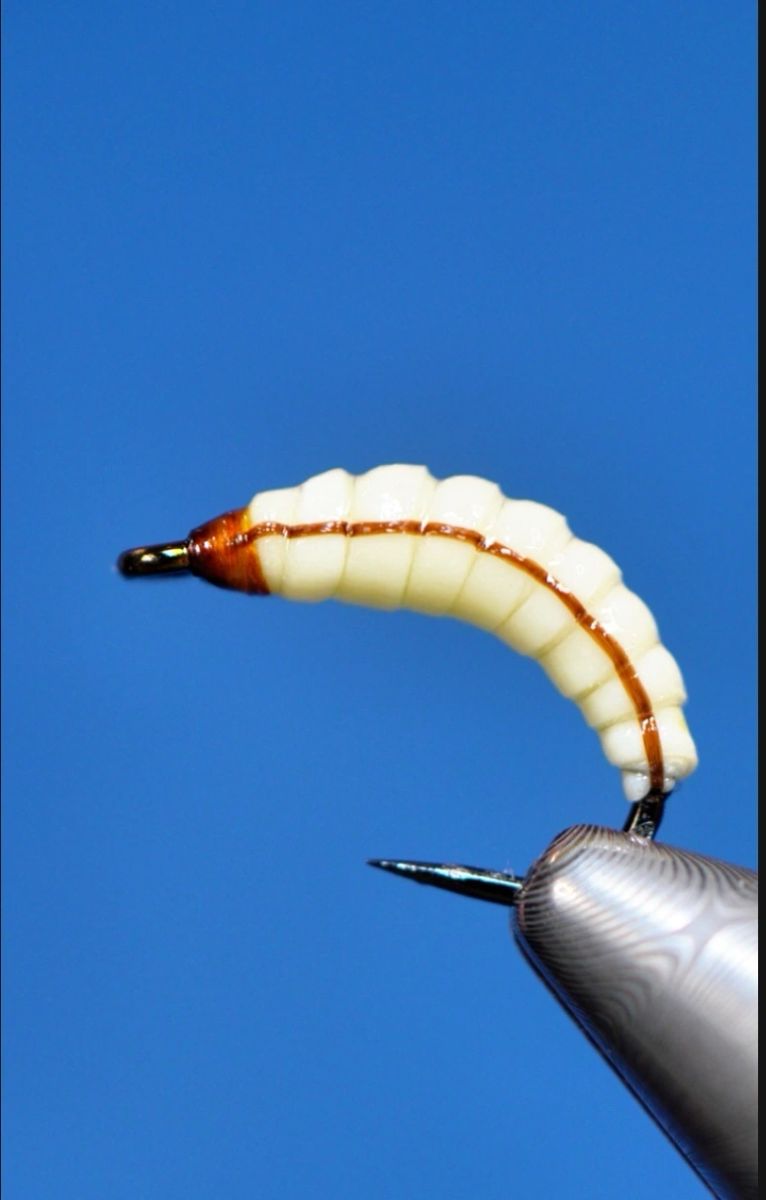Realistic Wax Worm