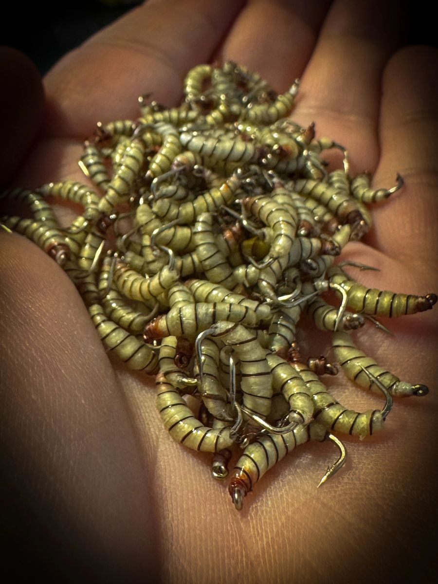 Realistic Mealworm Fly