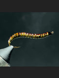 Realistic Caterpillar Worm!