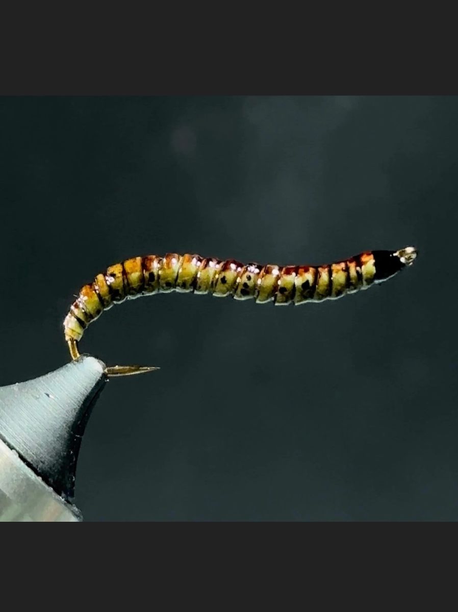 Realistic Caterpillar Worm!