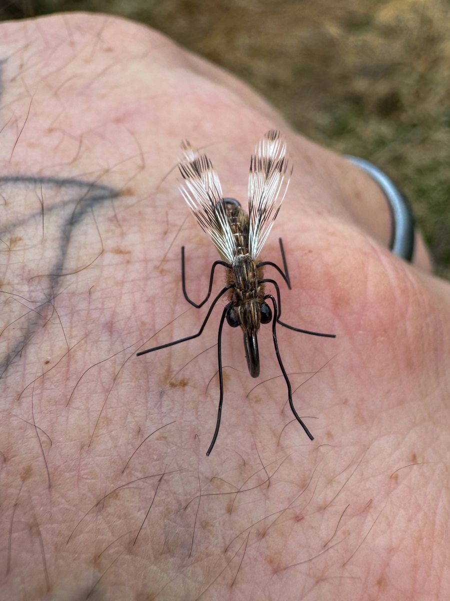 Realistic Mosquito Fly