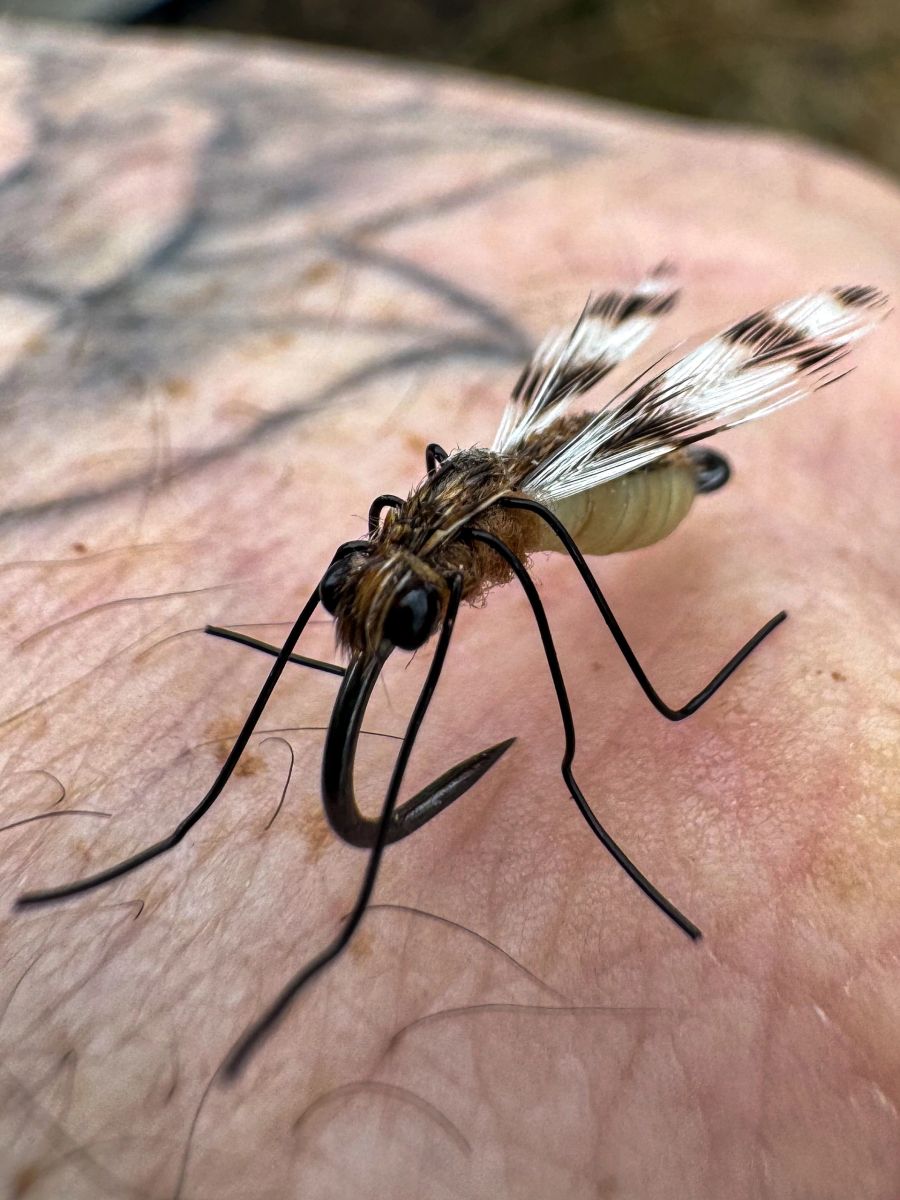 Realistic Mosquito Fly