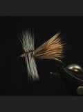 Fluttering Caddis Fly