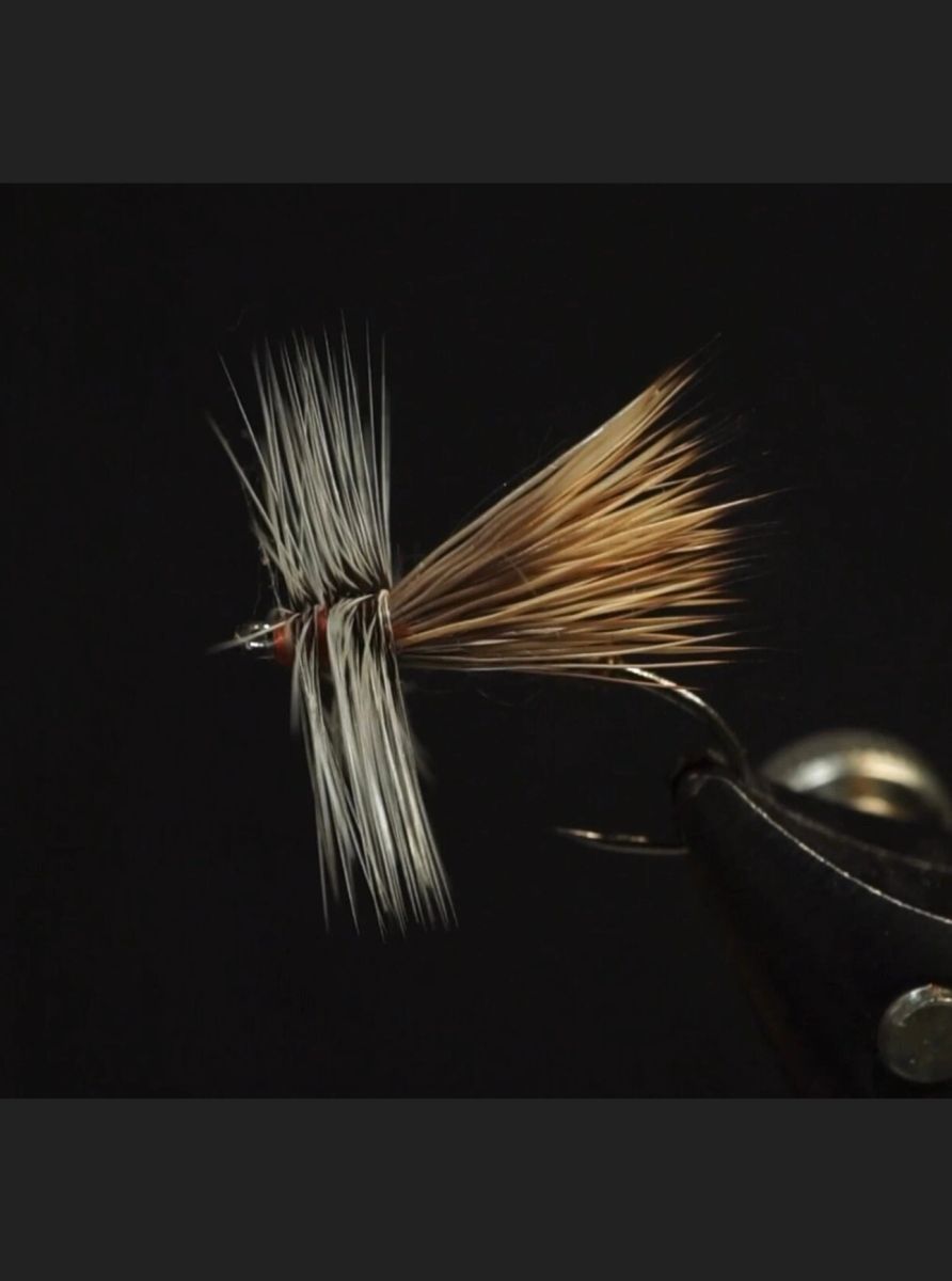 Fluttering Caddis Fly