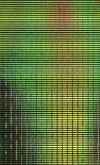 TheFlySmith Holographic Shitik Film