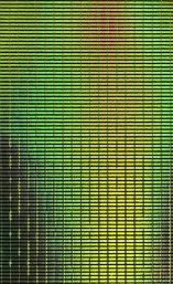TheFlySmith Holographic Shitik Film