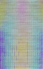 TheFlySmith Holographic Shitik Film