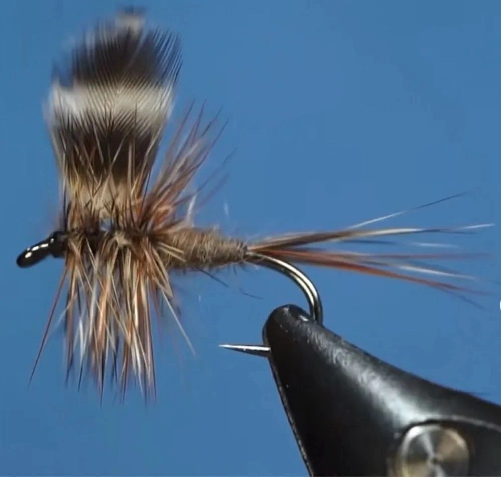 Adams Dry Fly