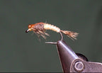 TheFlySmith Catgut