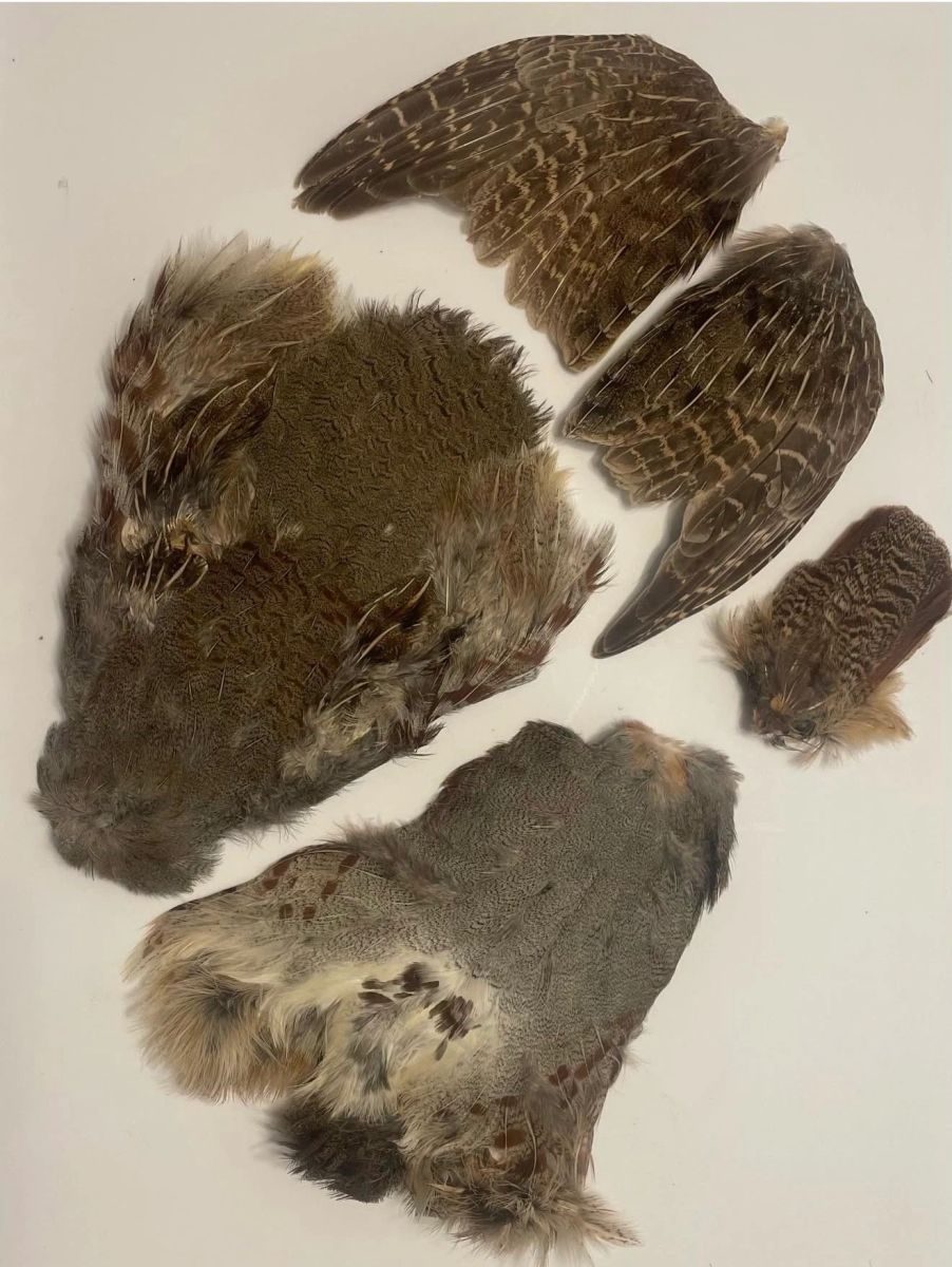 Rolled Hungarian Partridge