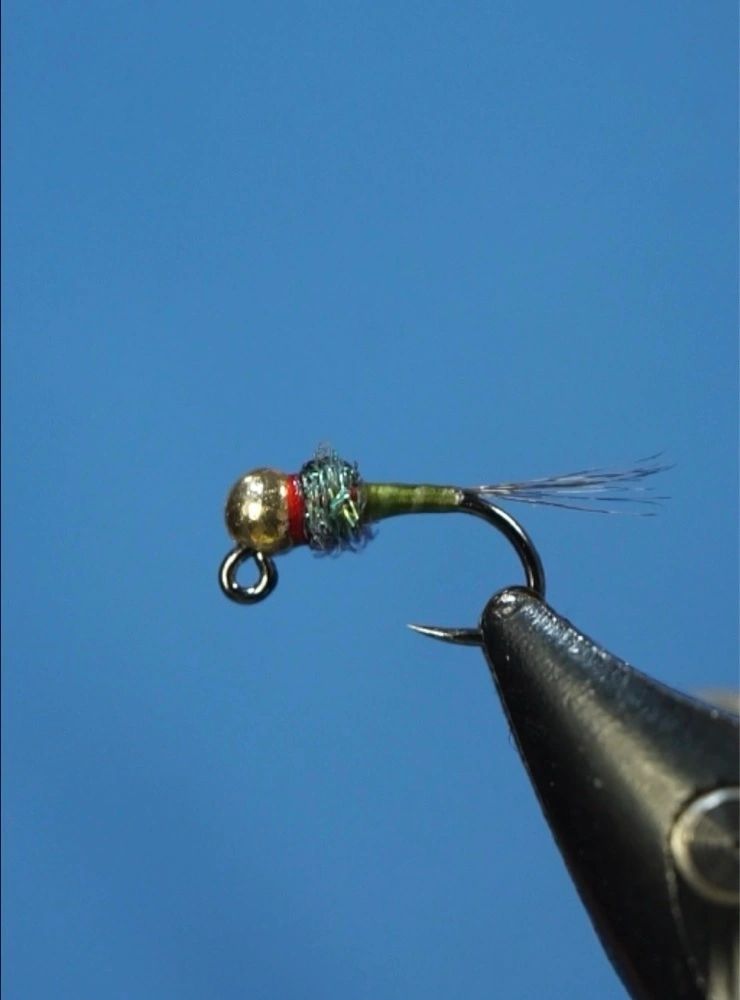 Egans Iron Lotus