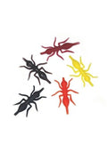 Ant Bodies