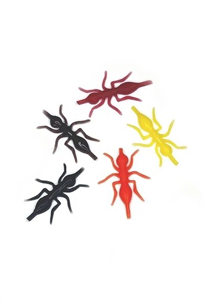 Ant Bodies