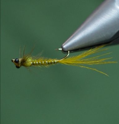 Skinny Damsel Fly