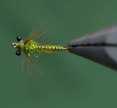 Skinny Damsel Fly
