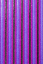 TheFlySmith Fly Film Colored Zebra (quill subs)