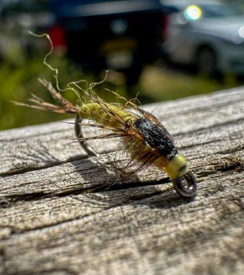 TheFlySmith 122 Piece Mayfly Life Cycle Box