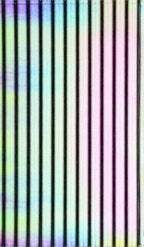 TheFlySmith Holographic Zebra (quill sub)