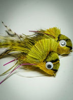 Size 2 Dahlberg Diver